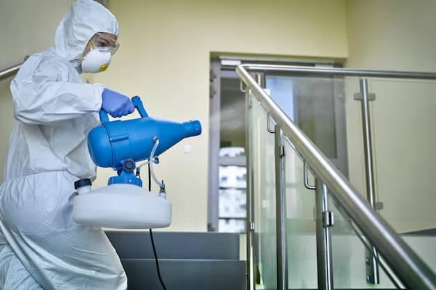 Inspección técnica